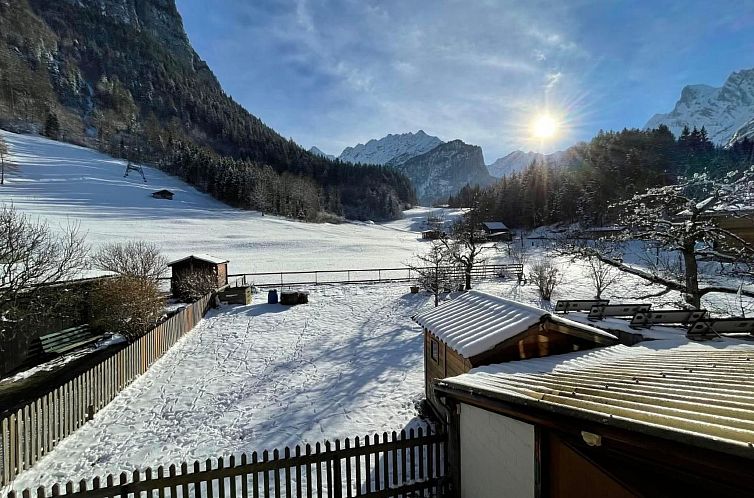 Appartement Alpine Home Streich