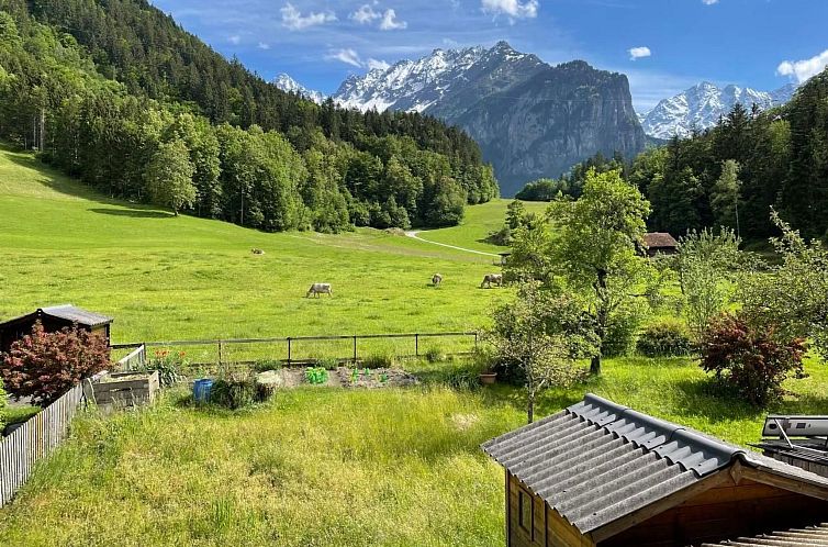 Appartement Alpine Home Streich