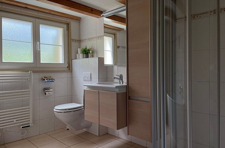 Appartement Alpine Home Streich