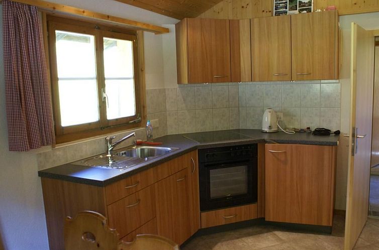 Vakantiehuis Alphütte Gental - Haslital