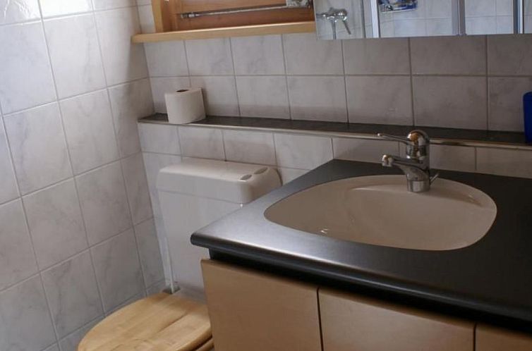 Vakantiehuis Alphütte Gental - Haslital