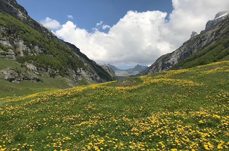 Vakantiehuis Alphütte Gental - Haslital