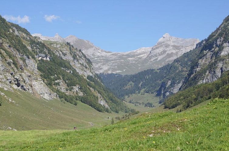 Vakantiehuis Alphütte Gental - Haslital