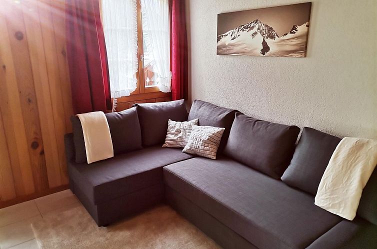 Appartement Gemütliche FeWo