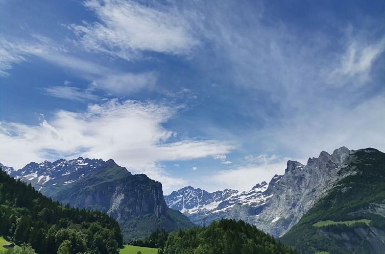 Appartement Gemütliche FeWo