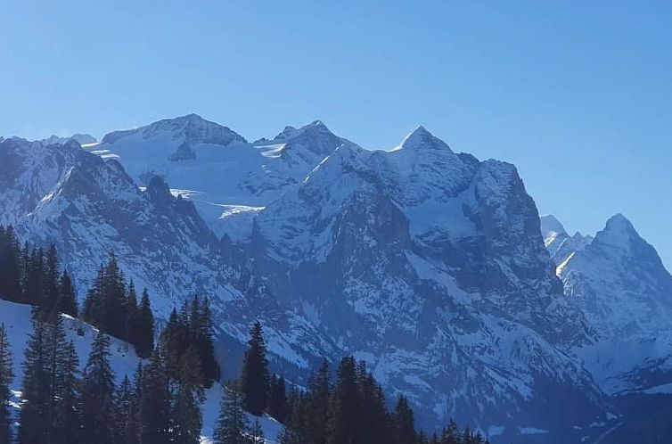 Appartement Gemütliche FeWo