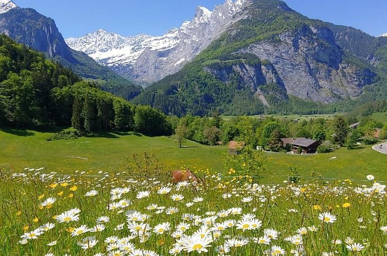Appartement Wohnung Mit 2 Schlafzimmern “Ürbach”