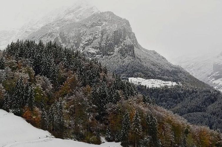 Appartement Wohnung Mit 2 Schlafzimmern “Ürbach”