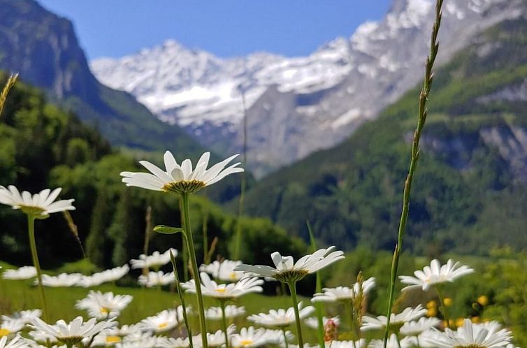 Appartement Wohnung Mit 2 Schlafzimmern “Alleschwendi”