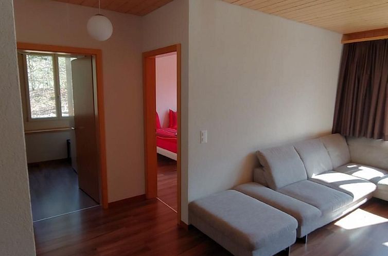 Appartement Wohnung mit 3 Schlafzimmern “Wylerdümen”