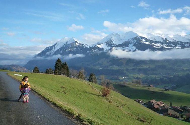 Appartement Ferienhaus Niesen View