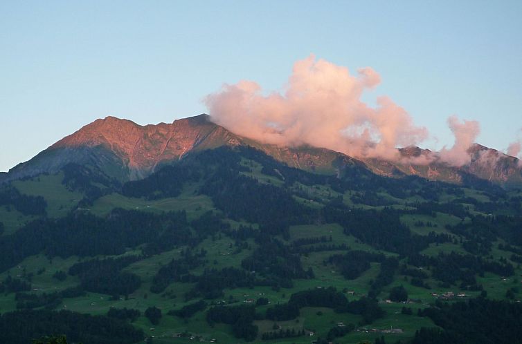 Appartement Ferienhaus Niesen View