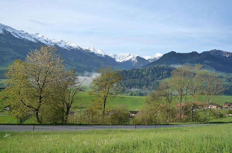 Appartement Ferienhaus Niesen View