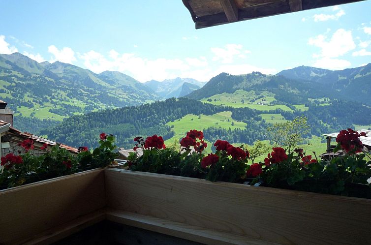 Appartement Ferienhaus Niesen View
