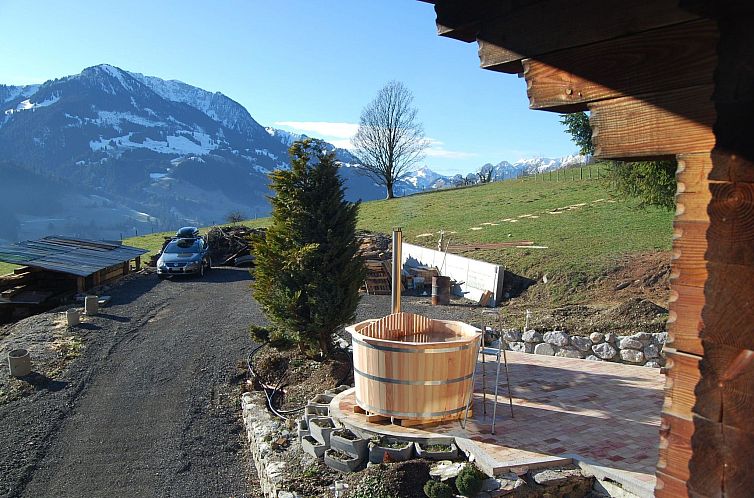 Appartement Ferienhaus Niesen View