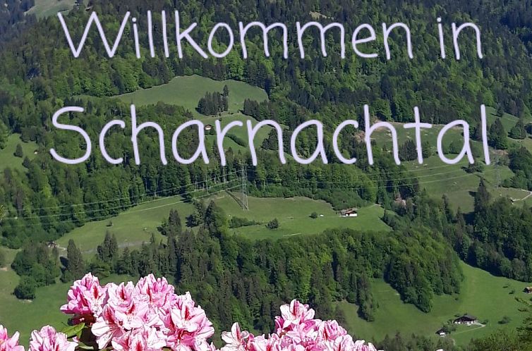 Appartement Chalet Wenger Appartement/Fewo, Dusche und Bad, 