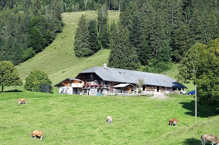 Appartement Chalet Wenger Appartement/Fewo, Dusche und Bad, 