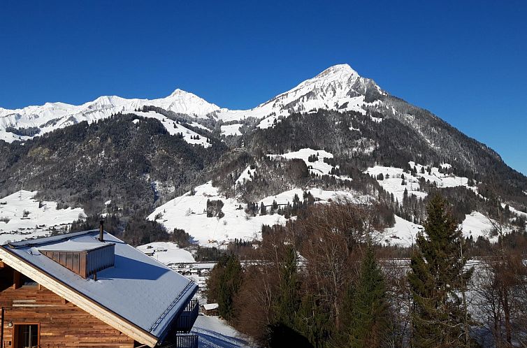 Appartement Chalet Wenger Appartement/Fewo, Dusche und Bad, 