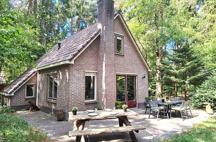 DG434 vacation home in Norg, North Drenthe with a spacious terrace in nature.