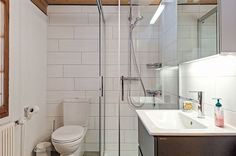 Appartement Chalet Alte Post