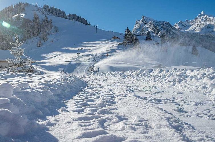 Appartement Berg Herz Grimmialp (Schwenden)