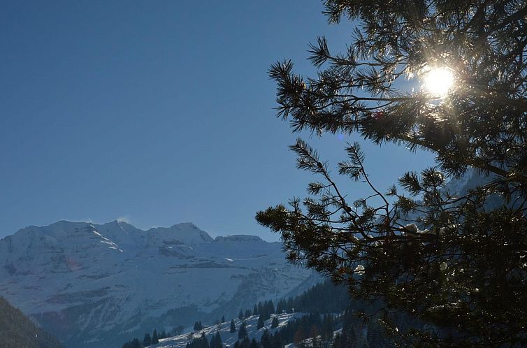 Appartement Chalet Zimmermann