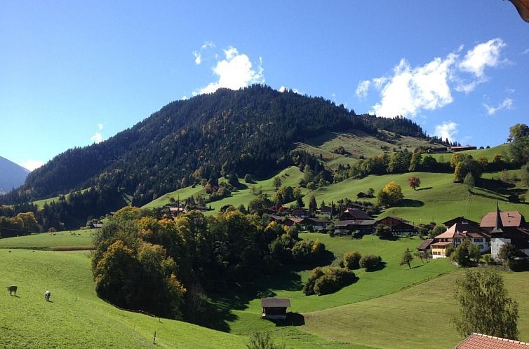 Unterkunft 1809902 - Appartement Berner Oberland - Appartement Chalet Ried