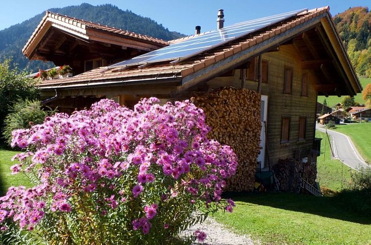 Appartement Chalet Ried
