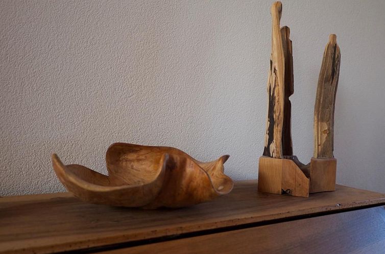 Appartement Chalet Ried