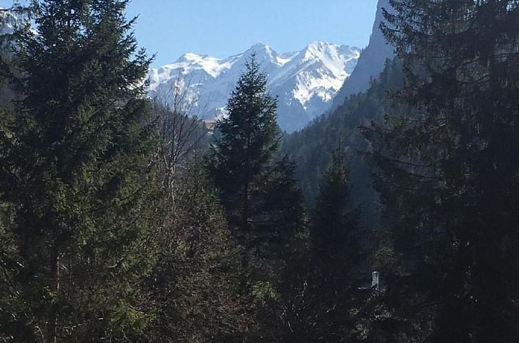 Appartement Chalet Park