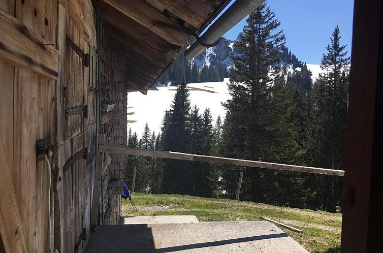 Appartement Chalet Park