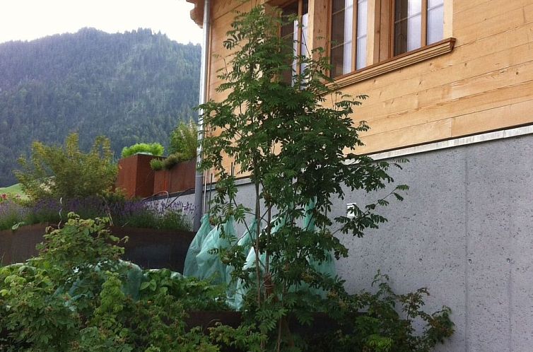 Appartement Chalet Park