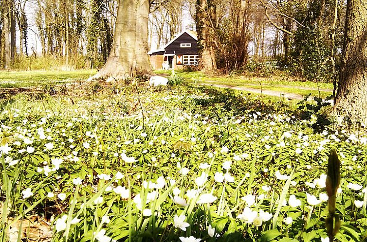 Vakantiehuisje in Midlaren