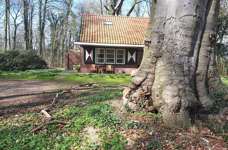 Vakantiehuisje in Midlaren