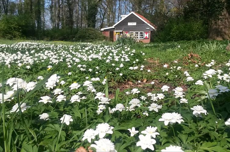 Vakantiehuisje in Midlaren