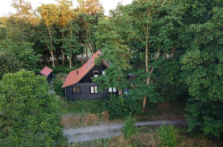 Aerial view of Holiday cottage in Midlaren surrounded by trees, located in green North Drenthe, Drenthe.