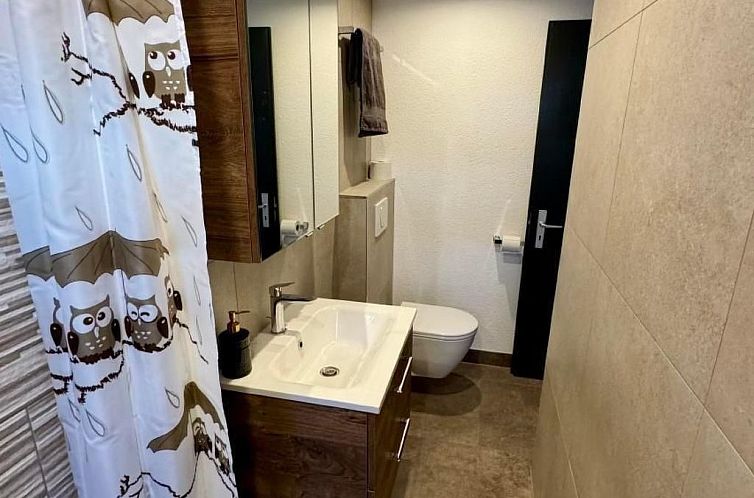 Appartement Brunni-Alpthal direkt an den Mythen-Bergen