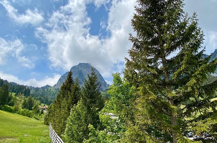 Appartement Brunni-Alpthal direkt an den Mythen-Bergen