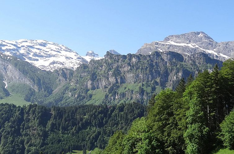 Appartement Holiday Apartment 7