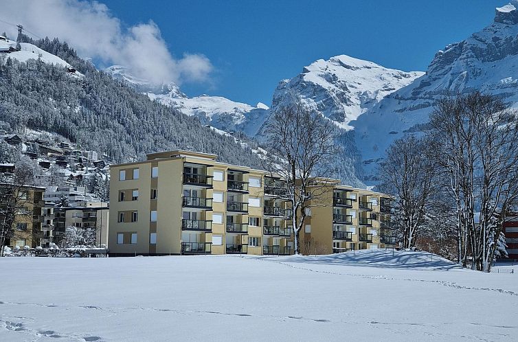 Appartement Erlenrain Wohnung 911