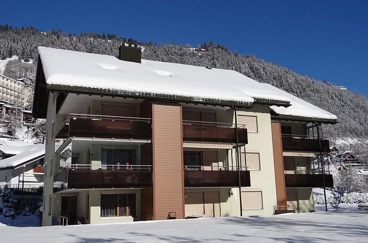 Appartement Blumenweg 8