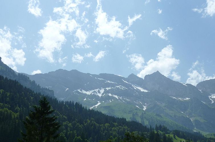 Appartement Sunnmatt Süd Wohnung 831