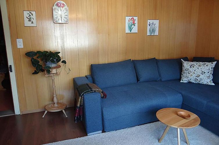 Appartement Steinacher 7