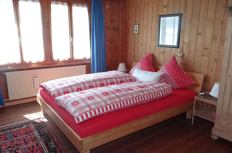 Appartement Steinacher 7