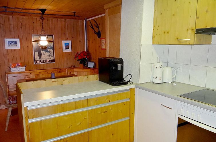 Appartement Steinacher 7