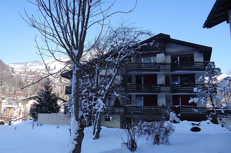 Appartement Birkenstrasse 56