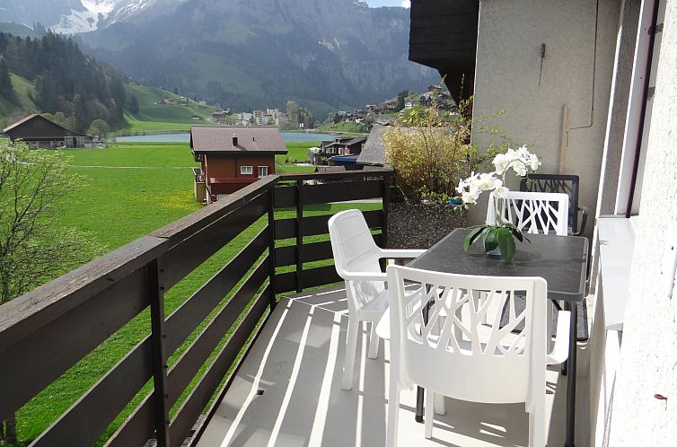 Appartement Birkenstrasse 56