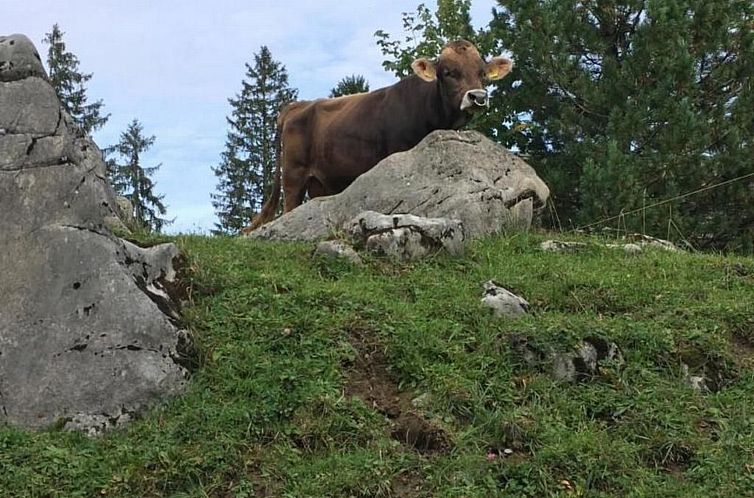 Appartement Gemütliche Ferienwohnung in Engelberg