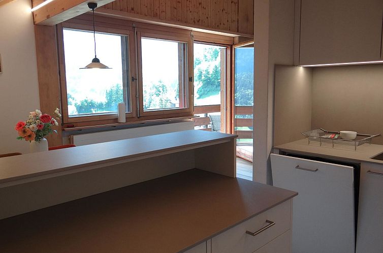 Appartement Fellenrüti 81