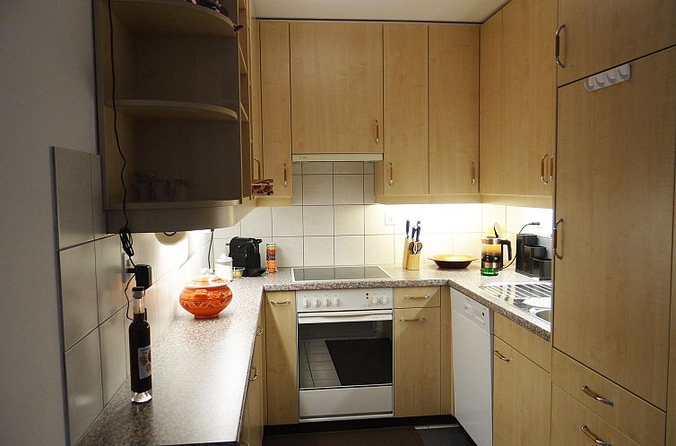 Appartement Sunnmatt Süd Wohnung 432